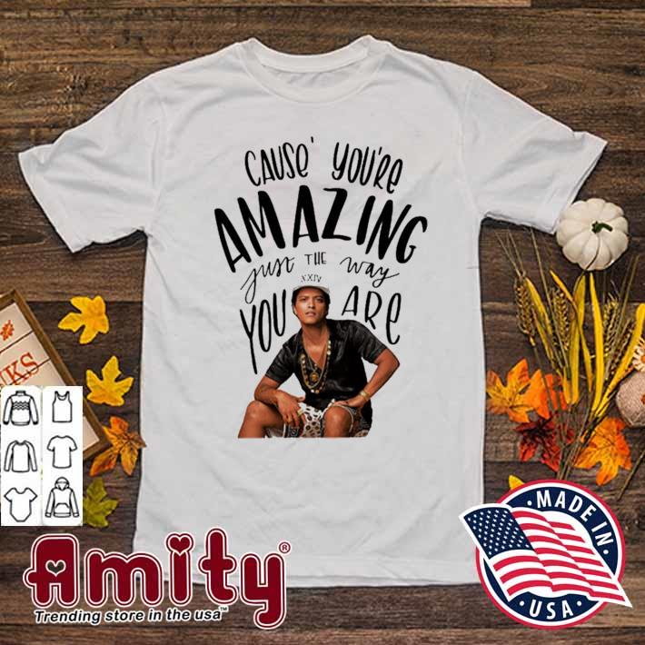 Cause' you're amazing fun the way you are Bruno Mars t-shirt
