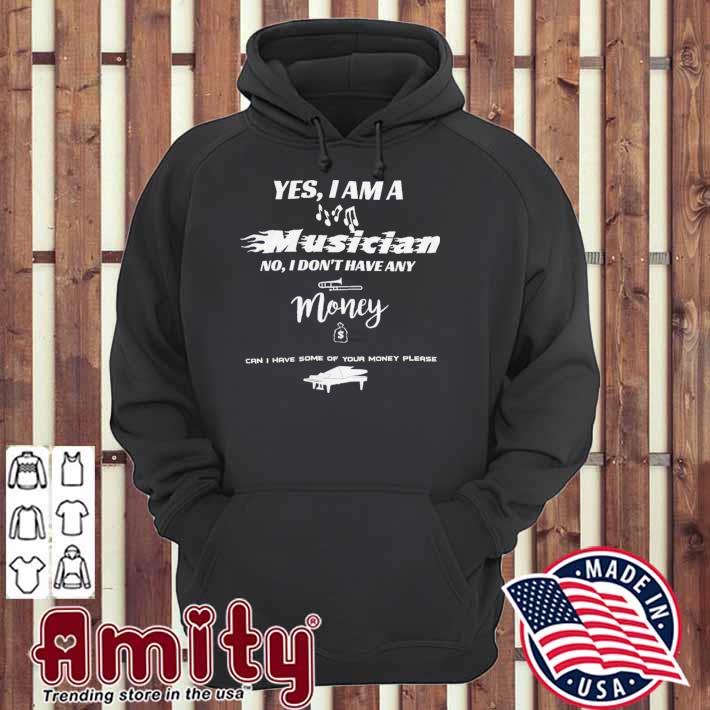 Yes I am a musician no I don't have any money can i have some of your money please t-s hoodie